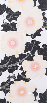 夏芙蓉［ナツフヨウ］・黒