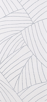 新裂取波横段大［シンキレトリナミヨコダン］・生成地